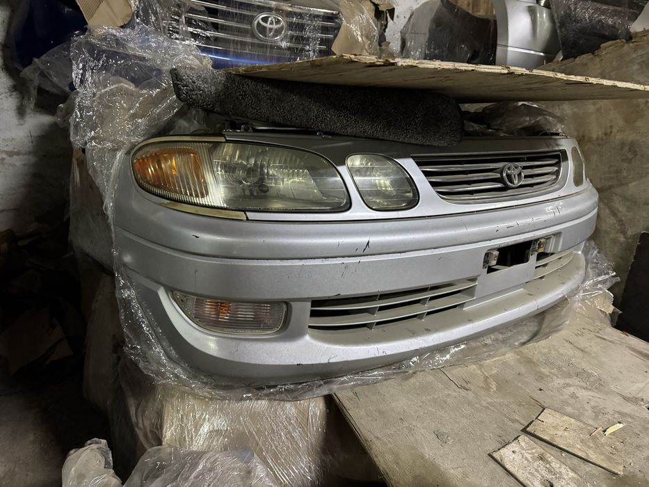 Носкат, перед, морда на Toyota Estima