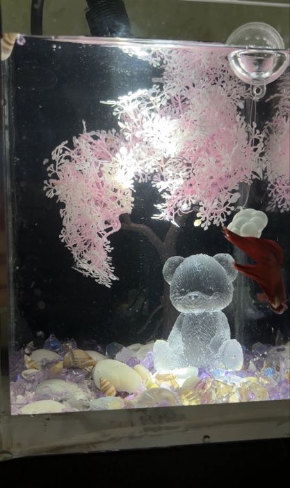 Аквариум + декор + рыба + корм+ фильтр