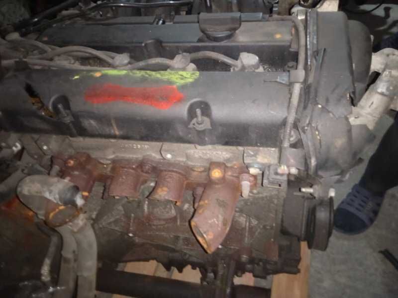 Двигатель Ford Focus SJPA 1.4L