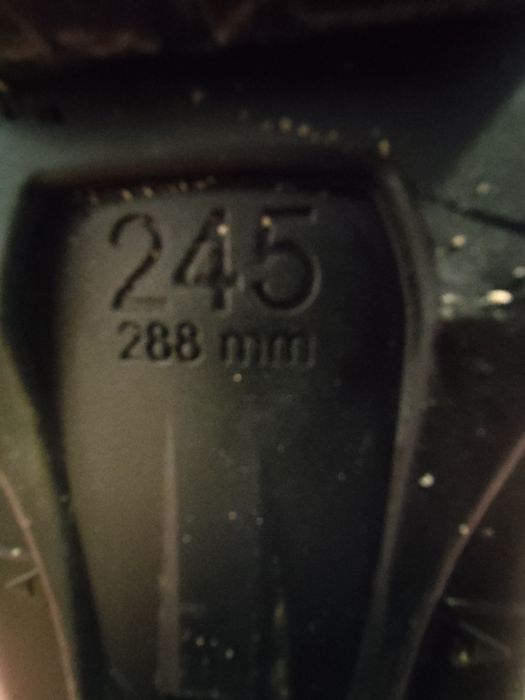 Ски,обувки,щеки росиньол