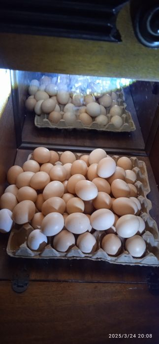 Жетісай қаласы Байзақов 4 үй