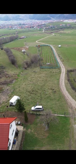 Teren Zărnești, Brașov – 3 loturi (618-716-629 mp) – vedere Piatra Craiului & Bucegi