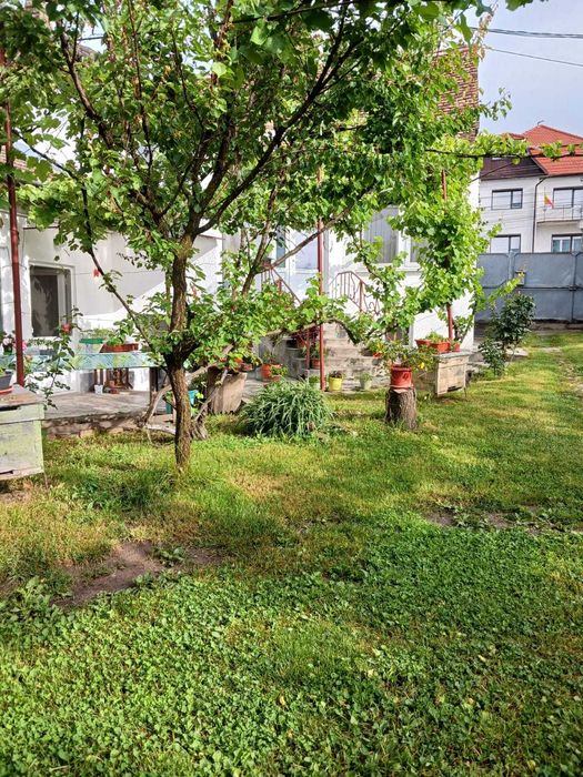 Tarnaveni - Gospodarie de vanzare