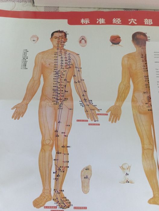 Вакуумные банки для массажа