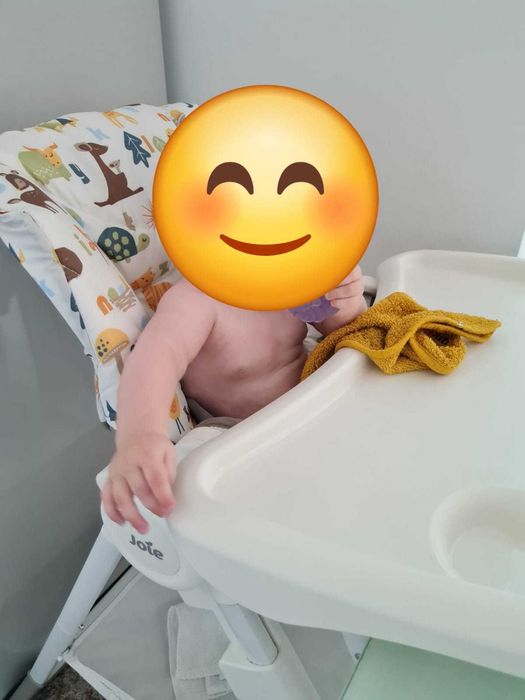 Carucior Bugaboo Cameleon