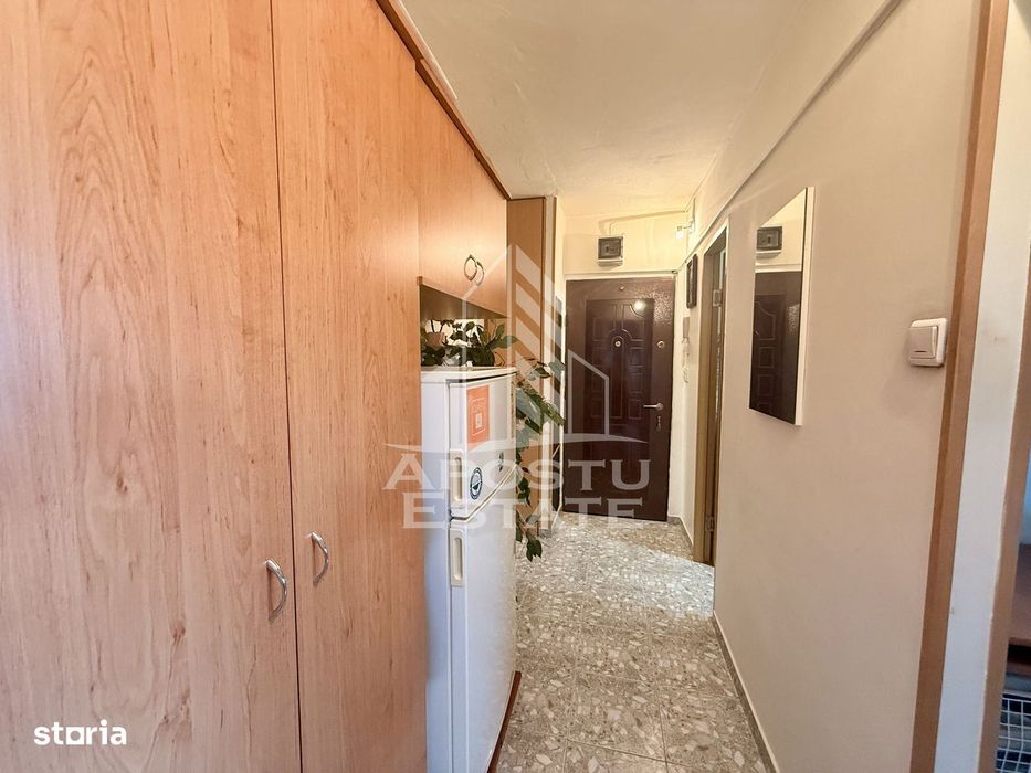 Apartament 1 camera de vanzare, zona Lunei, Timisoara