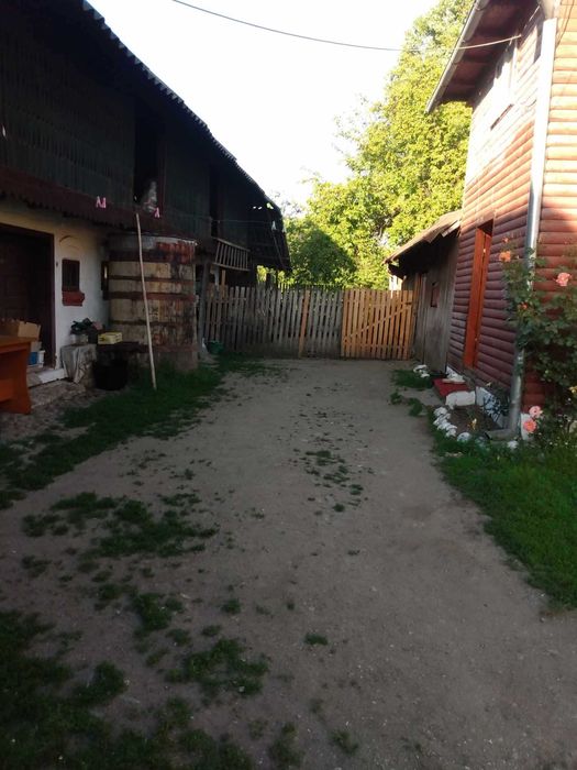 case de vanzare arges