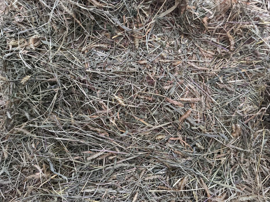 Продается сено в тюках