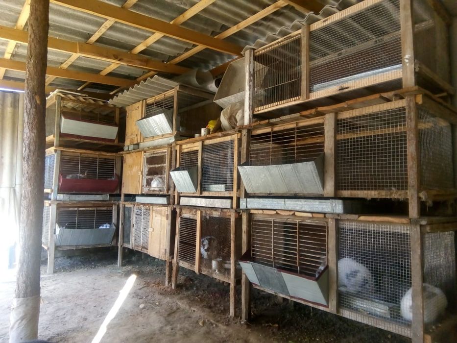 Крольчатники самодельные