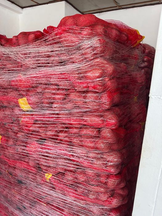 Cartofi EN-GROS calibru 70+ Belgia – Germania – Franța | Spălați 10 kg