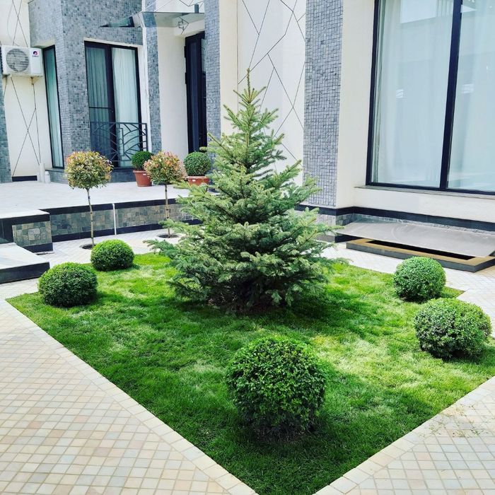 Ландшафт-дизайн таййор газон хизмати