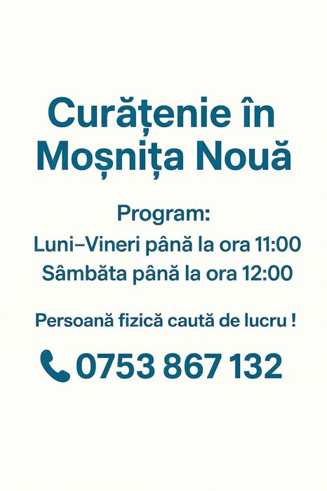 Curățenie  la domiciliu