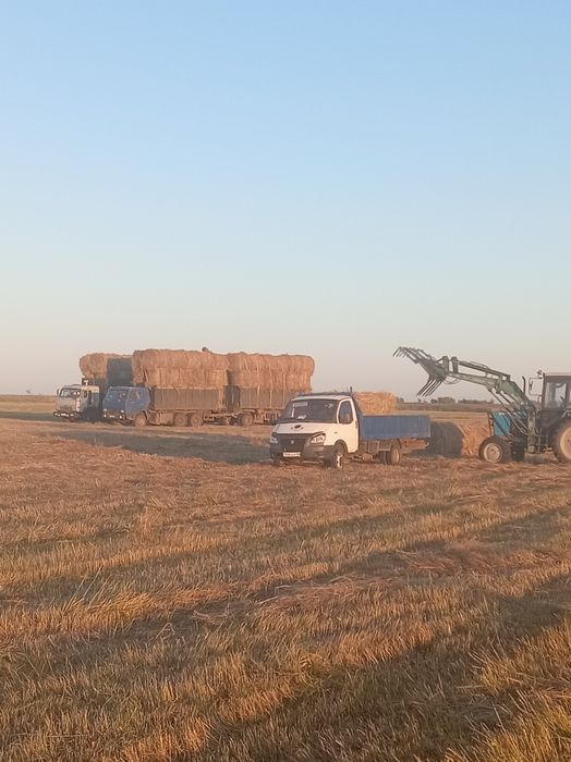 Продам сено с доставкой