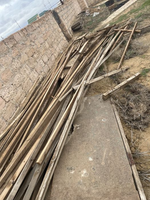 Ағаштар сатылады барлығы 80мың