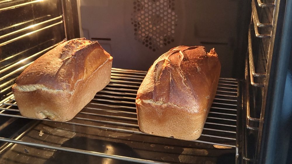 Maia naturală matură – starter activ pentru pâine artizanală