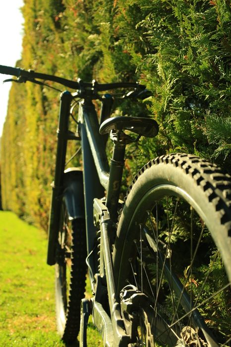 Scott Gambler 910 2023