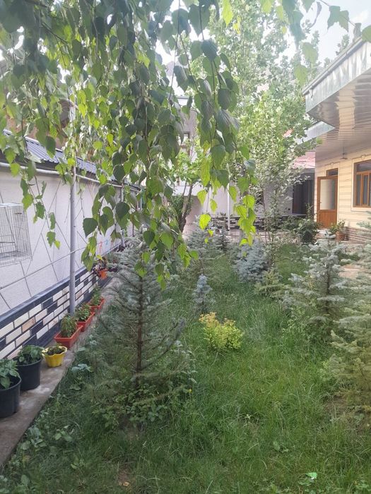 Дача Бурчмулла сдаётся в аренду посуточно,недалеко от Чарвакиского вод