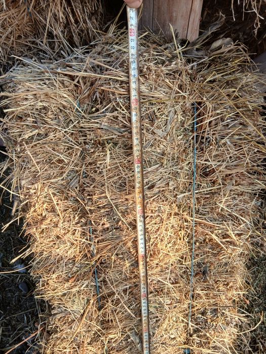 Baloti trifoi si lucernă