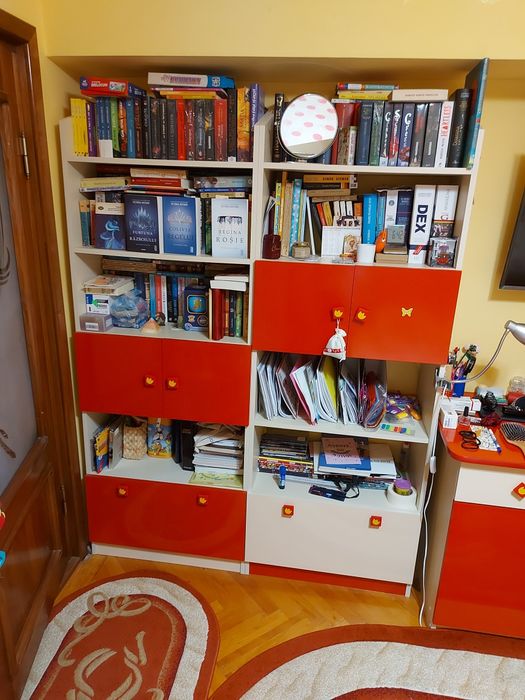 Biblioteca si elemente cameră tineret