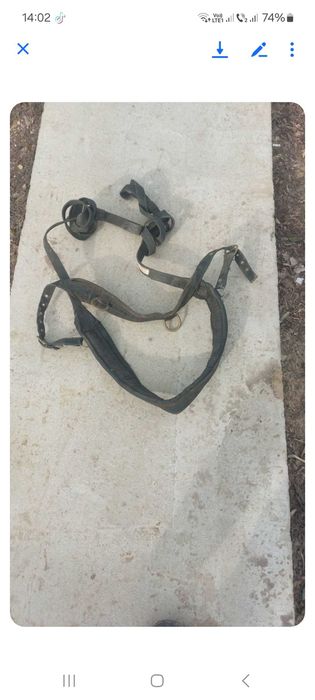 Ham de cai merge folosit la Trăsură Șaretă sau Căruță.Fac  și schimburi pe un moped cu pedale.