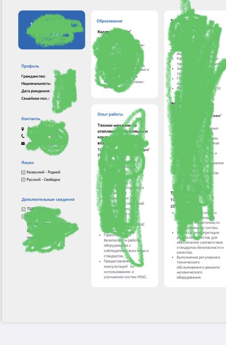 Составление резюме онлайн. Набор текста. Нормоконтроль.