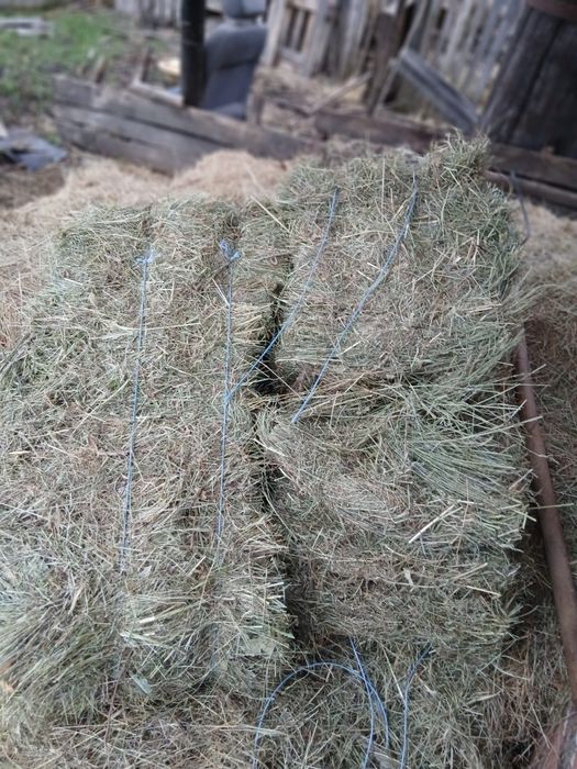 Vand baloti de fan  2025 calitate foarte bună in Poiana lacului Arges