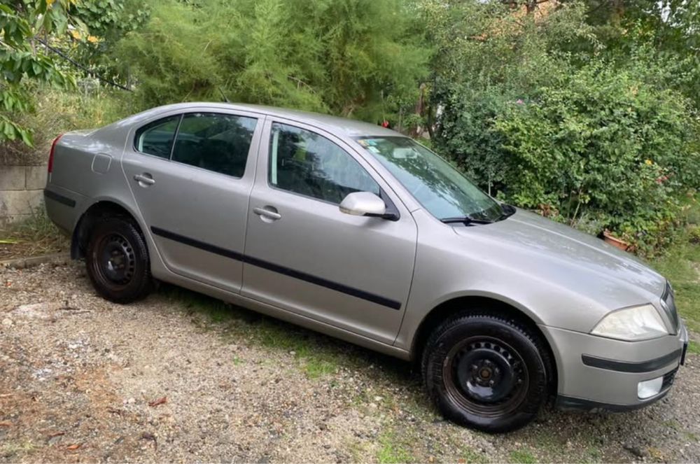 Skoda Octavia 2, motor 1.9 tdi