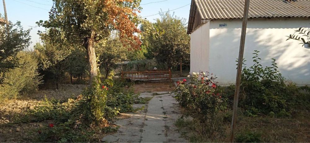 chinoz ta hovli uy sotiladi