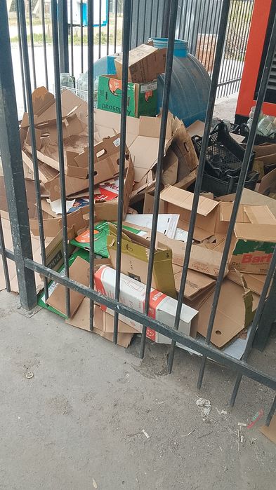 Макалутора баклашка бесплатно