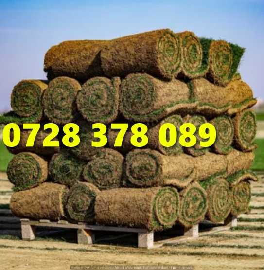 Gazon / Insamantare / Rulouri de Gazon