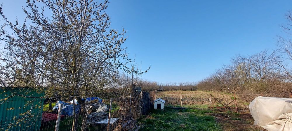 Vand casa si teren 10.000 mp-pret negociabil