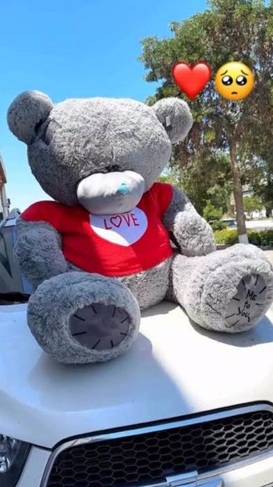 Тедди Teddi Tedi 1oo% (original yumshoq)30sm 3m narxi ozgaradi)