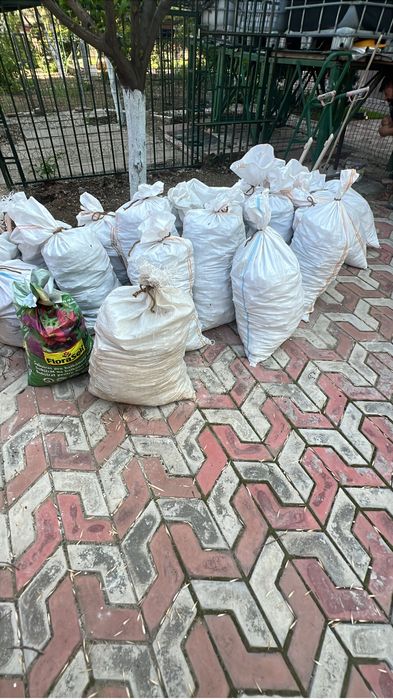 Transport Moloz Bucuresti Colectare Deseuri Ieftin - Firma Autorizata