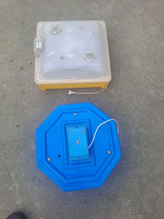 Vind două clocitorii ouă  una cu întoarcere automată  cea galbenă  șim