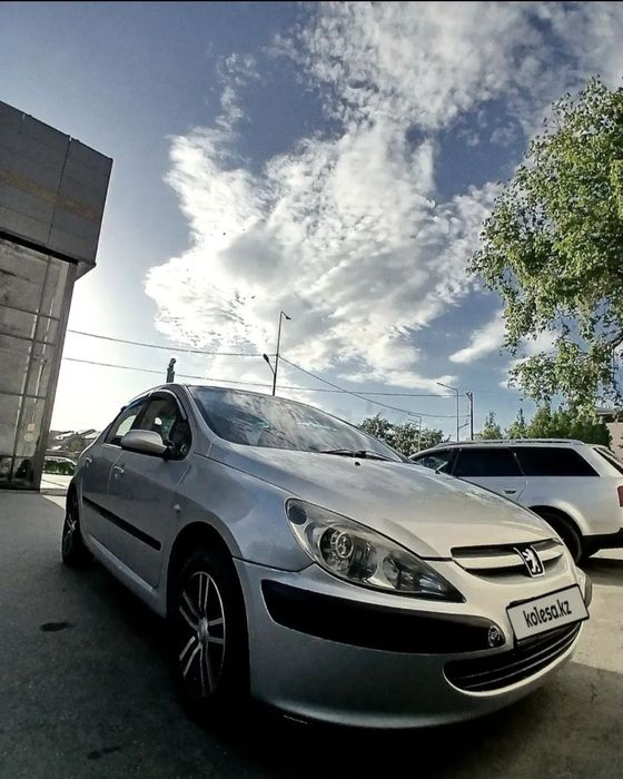 Промам Peugeot 307