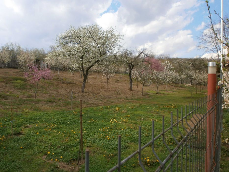Vand casa cu teren 3000 m2 Bascenii de Sus