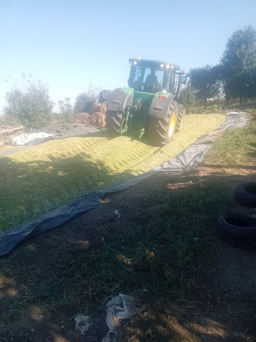 Siloz de porumb anul 2025