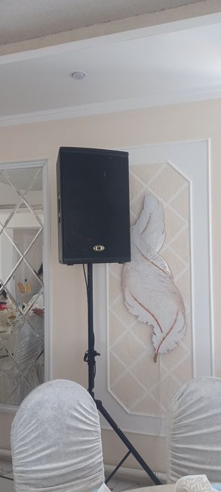 Музыкальная аппаратура Dynacord