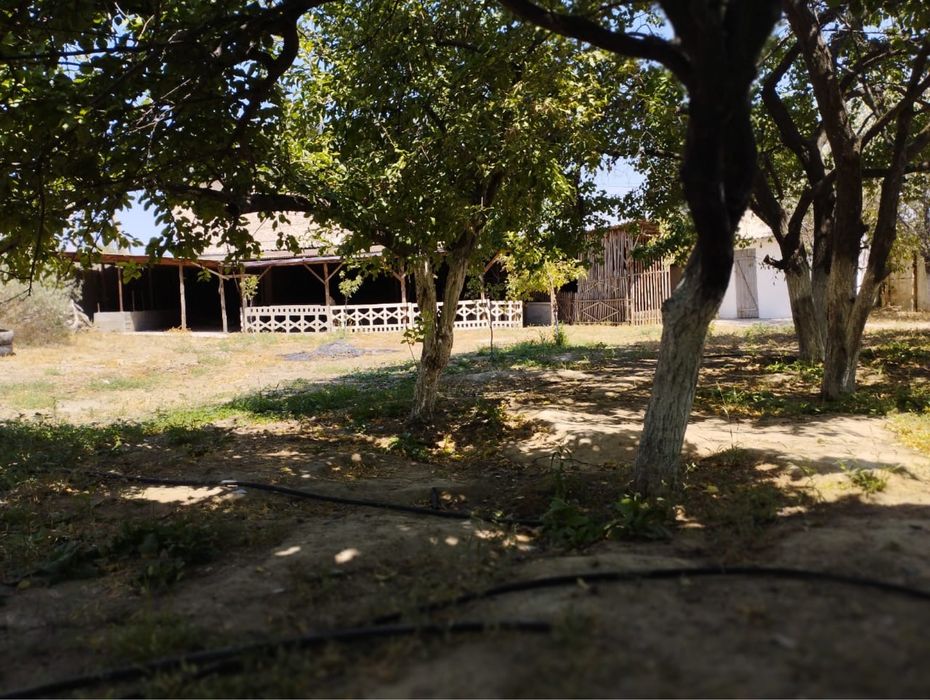 Үй сатылады. Шардара қаласында.