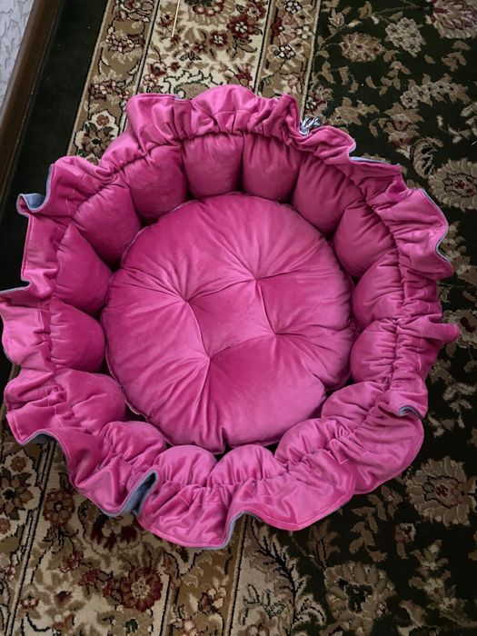 Лежанки кошкам. Мысыкка жататын орын