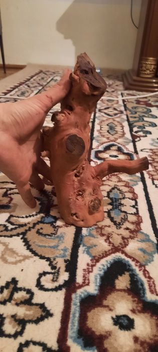 Выноградная каряга для аквариума. Сифати ало даражада хархил  шаклда