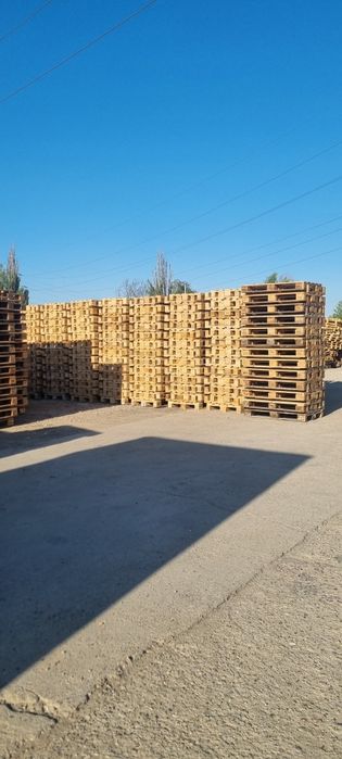 Vând paleti euro și NON euro