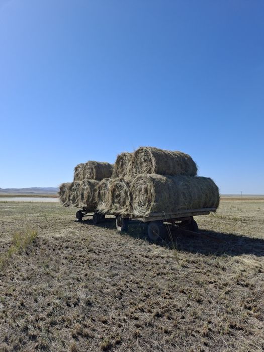 продам сено в рулонах