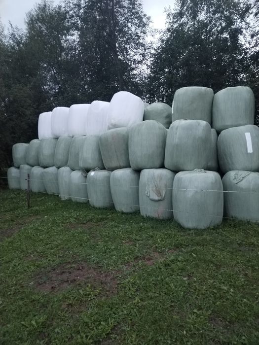 Baloți de fân înfoliați!