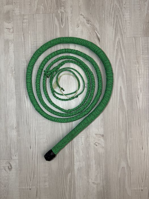 Bici de plugusor/ bullwhip
