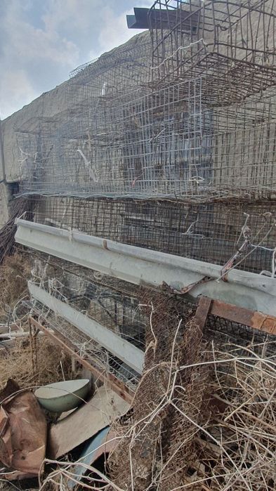 Broller kletkalar sotiladi manzil Navoiy navbahor