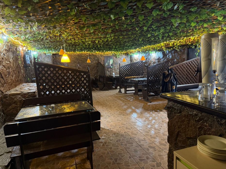 Кафе Шашлычная в Аренду