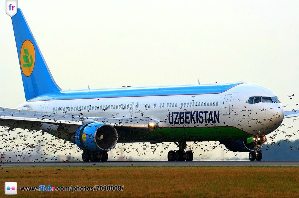 Aviakassa.uz yunusobod