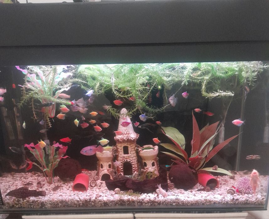 Продам Аквариум большой.