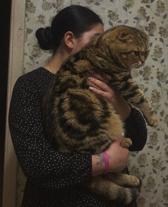 Замечательный фолдик